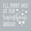 I'll meet you at the rainbow bridge